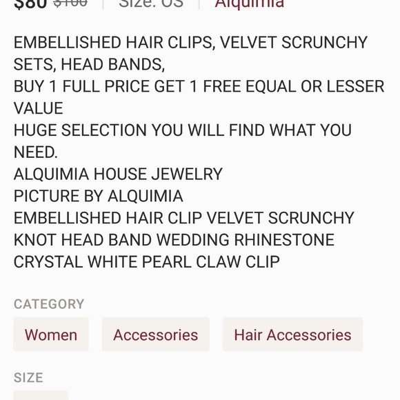 NEW  EMBELISH HAIR CLIP SET - Picture 4 of 4